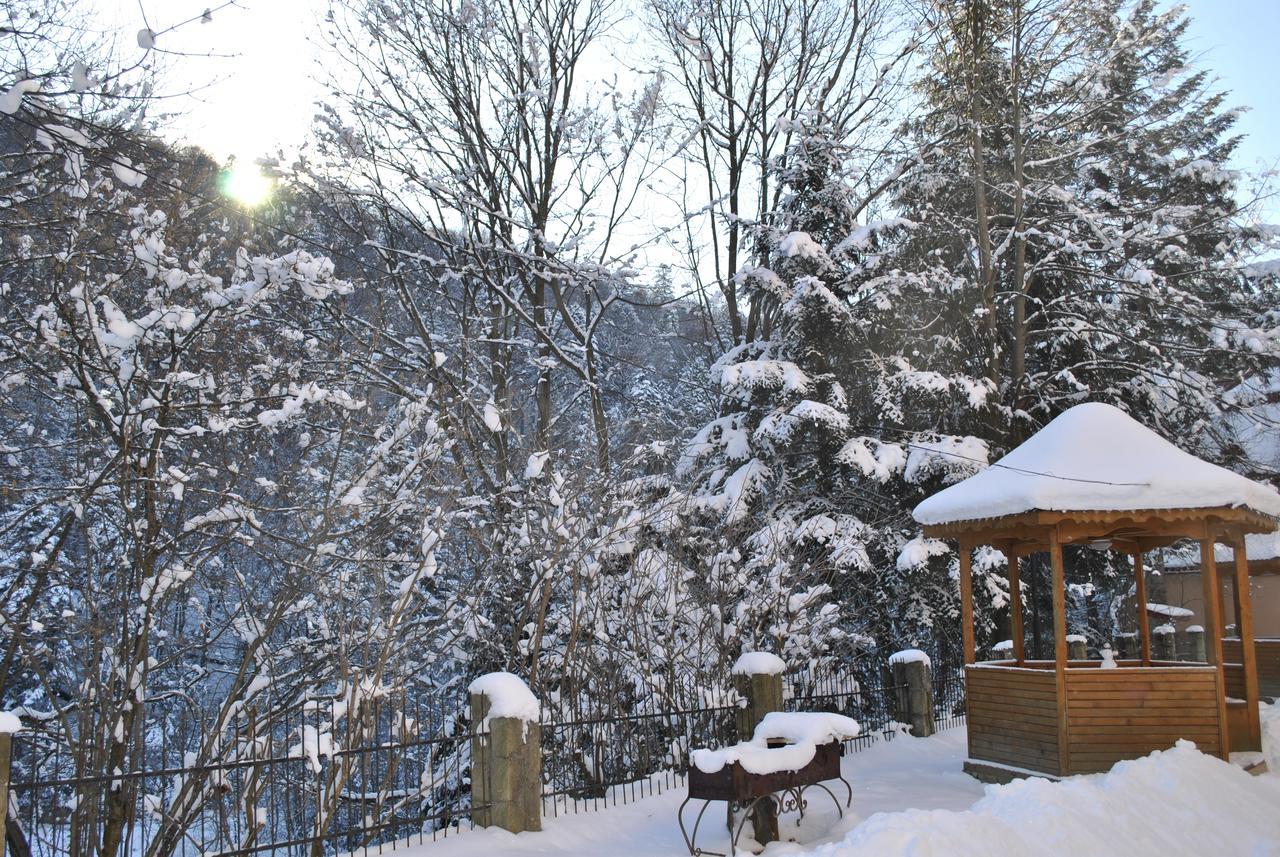 Hotel Radiola Yaremche Luaran gambar